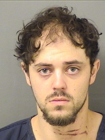  TYLER NICHOLAS TORCHIA Results from Palm Beach County Florida for  TYLER NICHOLAS TORCHIA