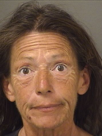  CECILIA DAWN LEHMAN Results from Palm Beach County Florida for  CECILIA DAWN LEHMAN