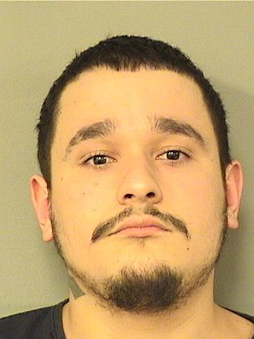  ANTHONY NORDELO Results from Palm Beach County Florida for  ANTHONY NORDELO
