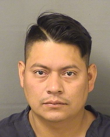  JOSE MANUEL PEREZPASCUAL Results from Palm Beach County Florida for  JOSE MANUEL PEREZPASCUAL