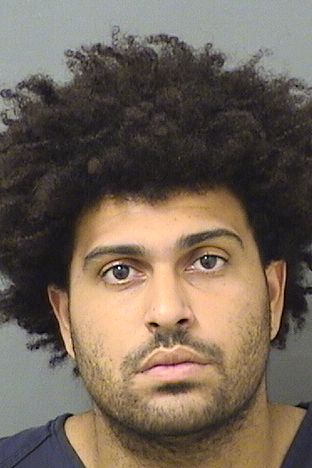 TRISTAN ELIJAH LAWSON Results from Palm Beach County Florida for  TRISTAN ELIJAH LAWSON