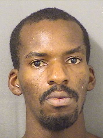  PHILIP MICHAEL WEISS Results from Palm Beach County Florida for  PHILIP MICHAEL WEISS