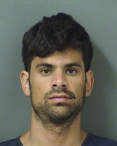  DANIEL ANDREW GRIFFEY Results from Palm Beach County Florida for  DANIEL ANDREW GRIFFEY