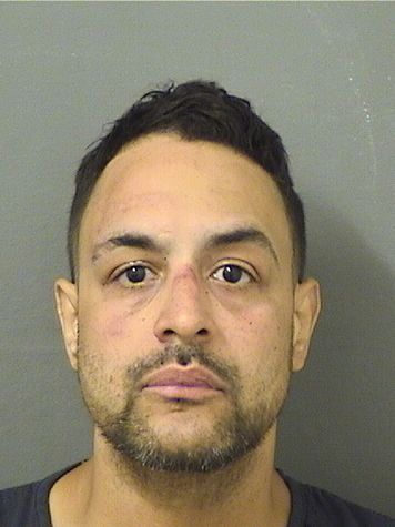  JONATHAN MOTA Results from Palm Beach County Florida for  JONATHAN MOTA