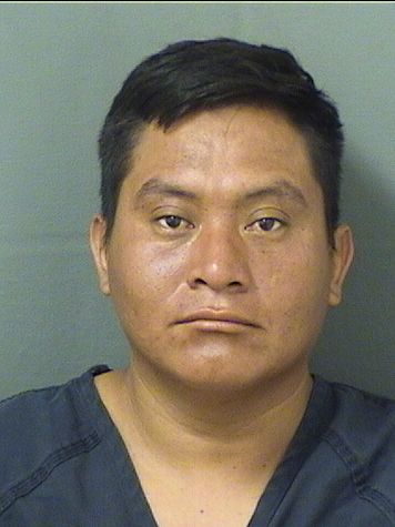  ALFREDO MORALESVASQUES Results from Palm Beach County Florida for  ALFREDO MORALESVASQUES