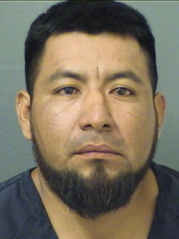  JUAN CARLOS PEREZLOPEZ Results from Palm Beach County Florida for  JUAN CARLOS PEREZLOPEZ