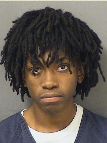  WIDENSKY LOUIS Results from Palm Beach County Florida for  WIDENSKY LOUIS