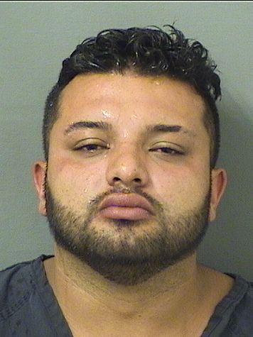  OMAR DAVID CANOSANCHEZ Results from Palm Beach County Florida for  OMAR DAVID CANOSANCHEZ