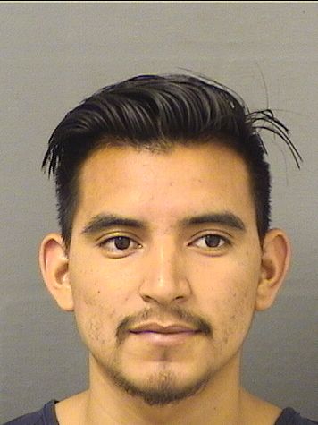  CRUZ EDUARDO VELASQUEZALVA Results from Palm Beach County Florida for  CRUZ EDUARDO VELASQUEZALVA