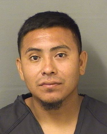  JORGE OVIDIO HERENANDEZHERNANDEZ Results from Palm Beach County Florida for  JORGE OVIDIO HERENANDEZHERNANDEZ