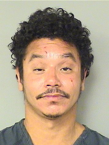  CRAIG BENT Resultados de la busqueda para Palm Beach County Florida para  CRAIG BENT