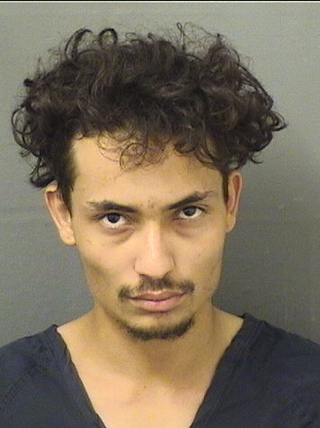  RICARDO VICTORIADUARTE Results from Palm Beach County Florida for  RICARDO VICTORIADUARTE