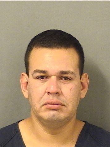  HUMBERTO VARGASHERNANDEZ Results from Palm Beach County Florida for  HUMBERTO VARGASHERNANDEZ