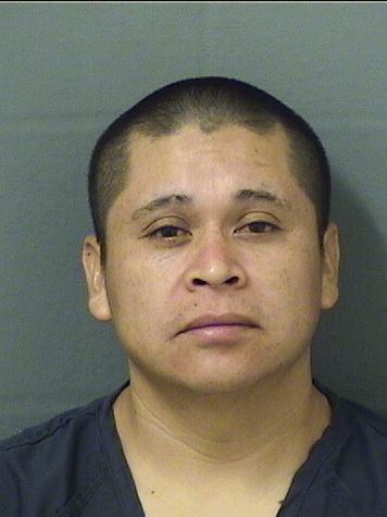  ANDRES RAFAELGASPAR Photo For  ANDRES RAFAELGASPAR