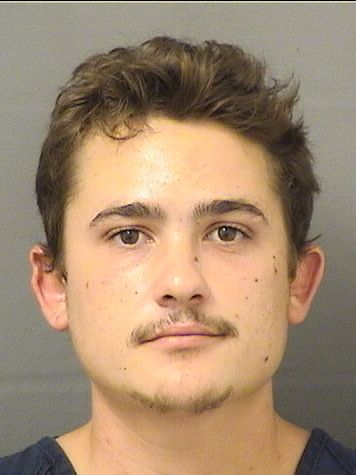  ALEXANDER N SELLITTI Results from Palm Beach County Florida for  ALEXANDER N SELLITTI