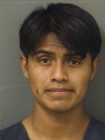 EDVIN OSIEL ORTIZGONZALES Results from Palm Beach County Florida for EDVIN OSIEL ORTIZGONZALES EDVIN OSIEL ORTIZGONZALES Results from Palm Beach County Florida for EDVIN OSIEL ORTIZGONZALES
