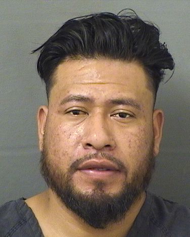  MISAEL RIGOBERTO VASQUEZRAMIREZ Results from Palm Beach County Florida for  MISAEL RIGOBERTO VASQUEZRAMIREZ