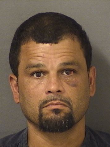  CARLOS R MARTINEZ Results from Palm Beach County Florida for  CARLOS R MARTINEZ