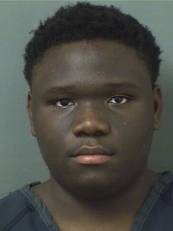  JAYLIN DESHAWN DAVIS Results from Palm Beach County Florida for  JAYLIN DESHAWN DAVIS