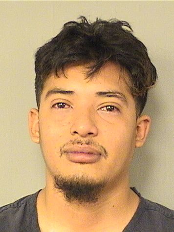  MOISES JOSUE HERNANDEZCRUZ Results from Palm Beach County Florida for  MOISES JOSUE HERNANDEZCRUZ