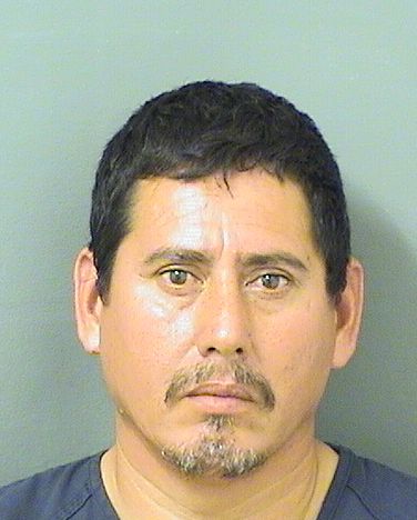  PEDRO RAUDARANGEL Photo For  PEDRO RAUDARANGEL