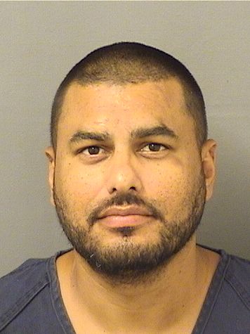  DOMINICK JOSEPH AARON TOZZI Results from Palm Beach County Florida for  DOMINICK JOSEPH AARON TOZZI