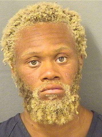  CHRISTOPHER JEVON SKEETE Results from Palm Beach County Florida for  CHRISTOPHER JEVON SKEETE