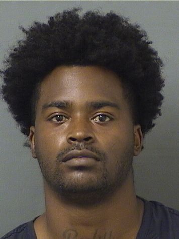  JAVON DANTE AUSTINJOHNSON Results from Palm Beach County Florida for  JAVON DANTE AUSTINJOHNSON