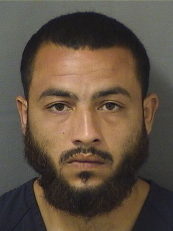  ANTHONY L MARTINEZ Results from Palm Beach County Florida for  ANTHONY L MARTINEZ