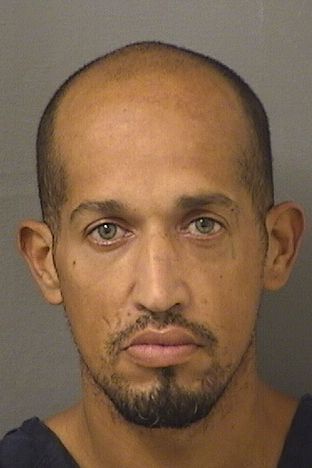  EMMANUEL RODRIGUEZMARTINEZ Results from Palm Beach County Florida for  EMMANUEL RODRIGUEZMARTINEZ