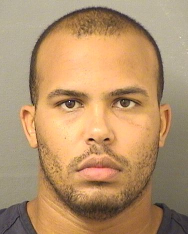 DEVAN JAMES LAWSON Results from Palm Beach County Florida for DEVAN JAMES LAWSON DEVAN JAMES LAWSON Results from Palm Beach County Florida for DEVAN JAMES LAWSON