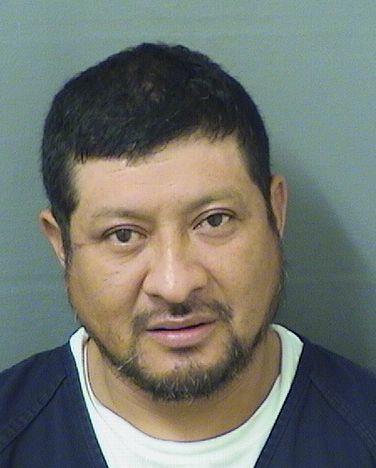  MIGUEL JUAREZBATZ Results from Palm Beach County Florida for  MIGUEL JUAREZBATZ