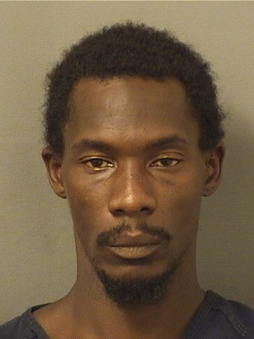  CHRISTOPHER JEROME LEWIS Results from Palm Beach County Florida for  CHRISTOPHER JEROME LEWIS