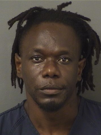  WESLY MICHAUD Results from Palm Beach County Florida for  WESLY MICHAUD