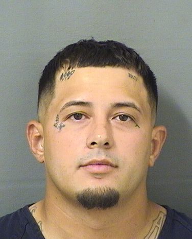  LUCAS ANTONI ALFARO Results from Palm Beach County Florida for  LUCAS ANTONI ALFARO