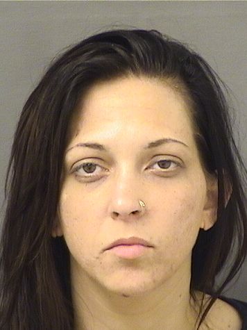  JACQUELINE SCHMIDT Results from Palm Beach County Florida for  JACQUELINE SCHMIDT