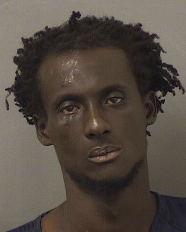  FABRICE DERILUS Results from Palm Beach County Florida for  FABRICE DERILUS