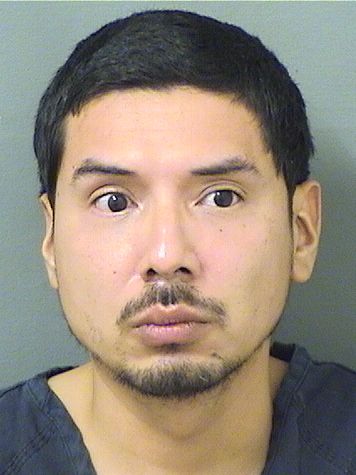  LUIS MIGUEL HERNANDEZCHOW Results from Palm Beach County Florida for  LUIS MIGUEL HERNANDEZCHOW