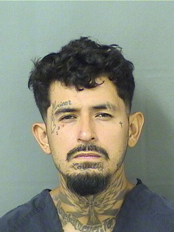  JUAN CARLOS FLORES Results from Palm Beach County Florida for  JUAN CARLOS FLORES