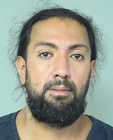  RYAN B BISNAUTH Results from Palm Beach County Florida for  RYAN B BISNAUTH