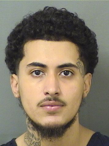  STEVE ALEXANDER GONZALESANTUNEZ Results from Palm Beach County Florida for  STEVE ALEXANDER GONZALESANTUNEZ