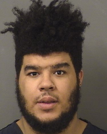  JOSHUA LEE JOANIS Results from Palm Beach County Florida for  JOSHUA LEE JOANIS