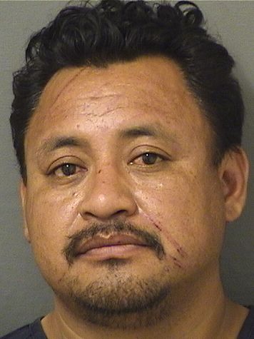  DILFREDO LOPEZRAMIREZ Resultados de la busqueda para Palm Beach County Florida para  DILFREDO LOPEZRAMIREZ