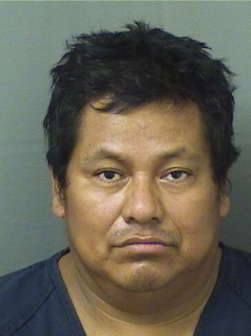  ANDRES LOPRETOTZEP Photo For  ANDRES LOPRETOTZEP