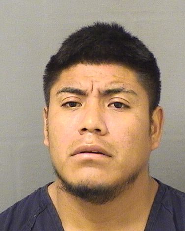  DAVILMAR GUADALUPE RAMIREZRAMOS Resultados de la busqueda para Palm Beach County Florida para  DAVILMAR GUADALUPE RAMIREZRAMOS