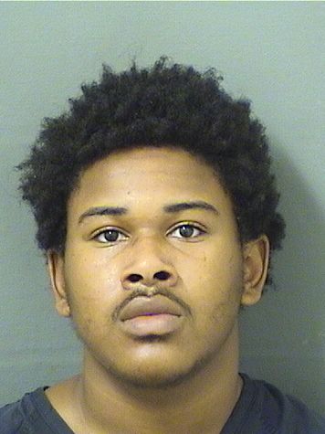 JULIUS WILLIAMS Results from Palm Beach County Florida for JULIUS WILLIAMS JULIUS WILLIAMS Results from Palm Beach County Florida for JULIUS WILLIAMS