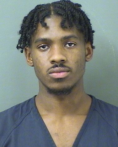  JOHNIE  Jr LARKINS Results from Palm Beach County Florida for  JOHNIE  Jr LARKINS