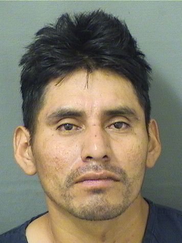  CESAR RAMIREZGARCIA Resultados de la busqueda para Palm Beach County Florida para  CESAR RAMIREZGARCIA