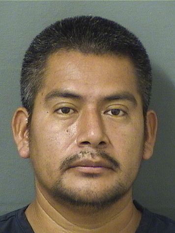  ZACARIAS P OVIDIO Resultados de la busqueda para Palm Beach County Florida para  ZACARIAS P OVIDIO