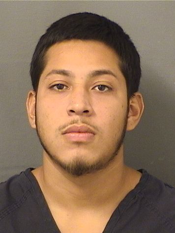  DANIEL RAMIREZ Results from Palm Beach County Florida for  DANIEL RAMIREZ